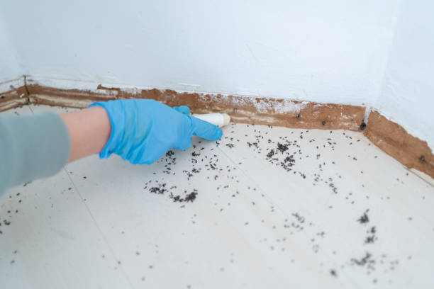 Best Affordable Pest Control Services  in Newfield, NJ